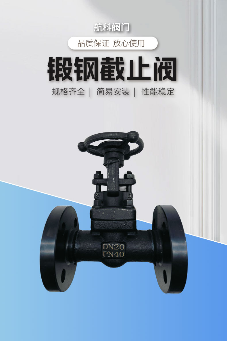 锻钢闸阀_01